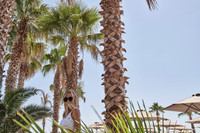 drz_esperia0187