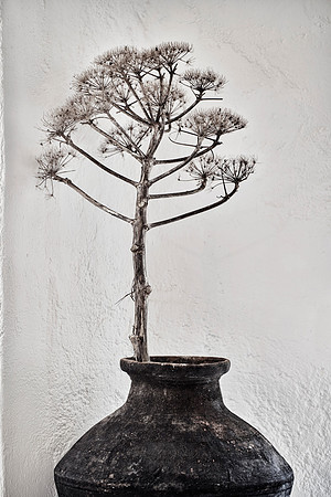 drz_nomads mykonos_0218