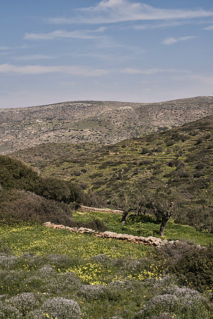 drz-ios island_DRZ2181