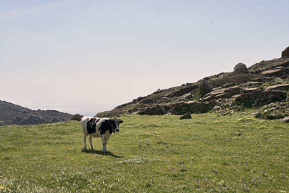 drz-ios island_DRZ2217