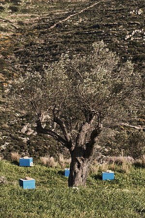 drz-ios island_DRZ2587