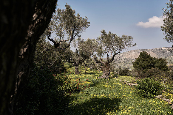 drz-ios island_DRZ2195