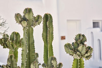 drz-mykonos-No5-II__Q1A3212